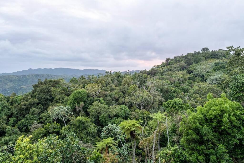 Cabin Mountain View Near Ponce Slepts 8 외부 사진