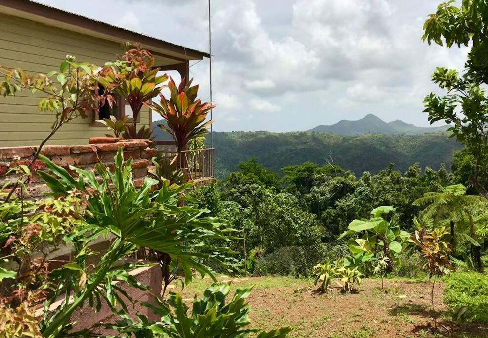 Cabin Mountain View Near Ponce Slepts 8 외부 사진